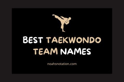 taekwondo team names