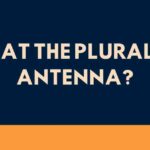what The Plural of Antenna