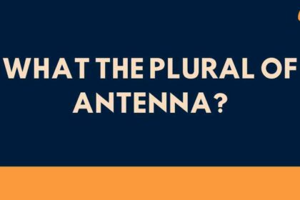 what The Plural of Antenna