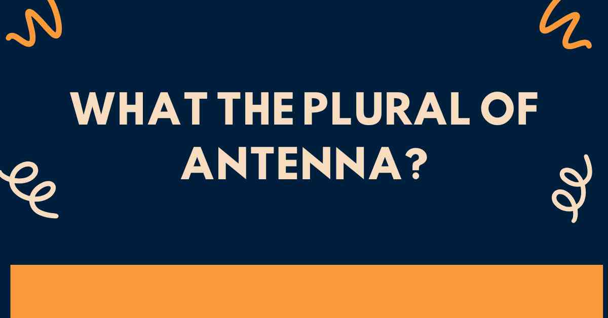 what The Plural of Antenna