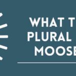 what The Plural of Moose