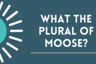 what The Plural of Moose