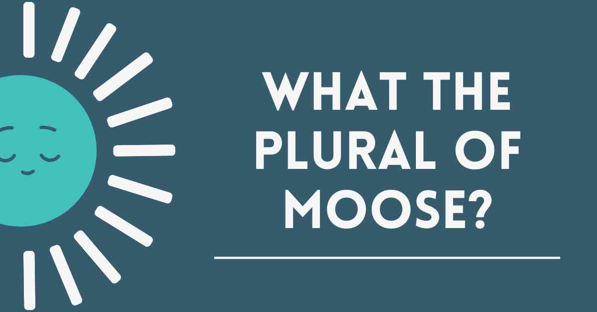 what The Plural of Moose