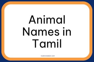 Animal Names in Tamil