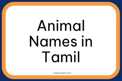 Animal Names in Tamil