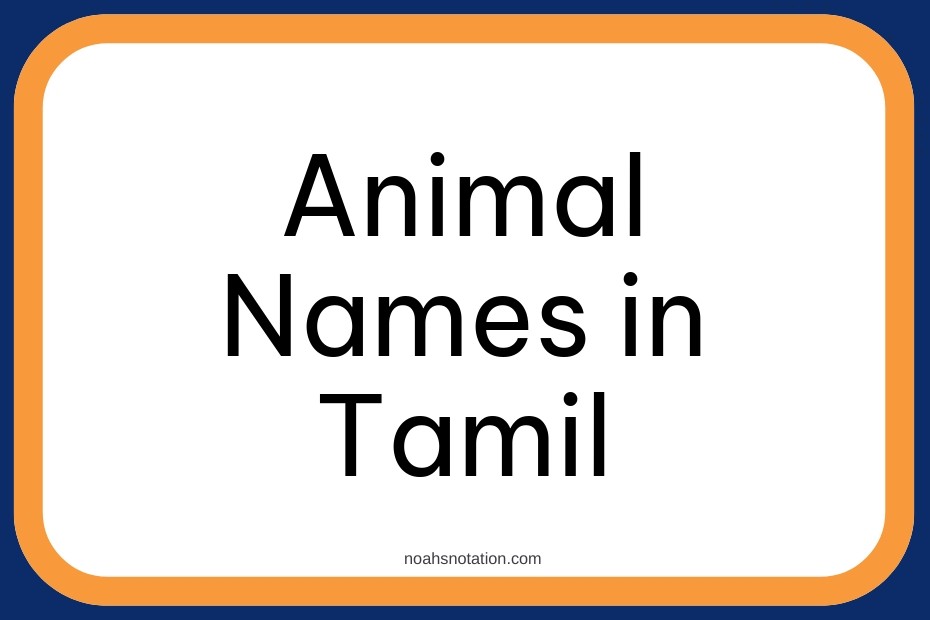 Animal Names in Tamil