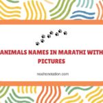Animals Names in Marathi With Pictures