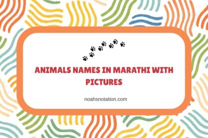 Animals Names in Marathi With Pictures