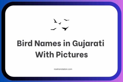 Bird Names in Gujarati