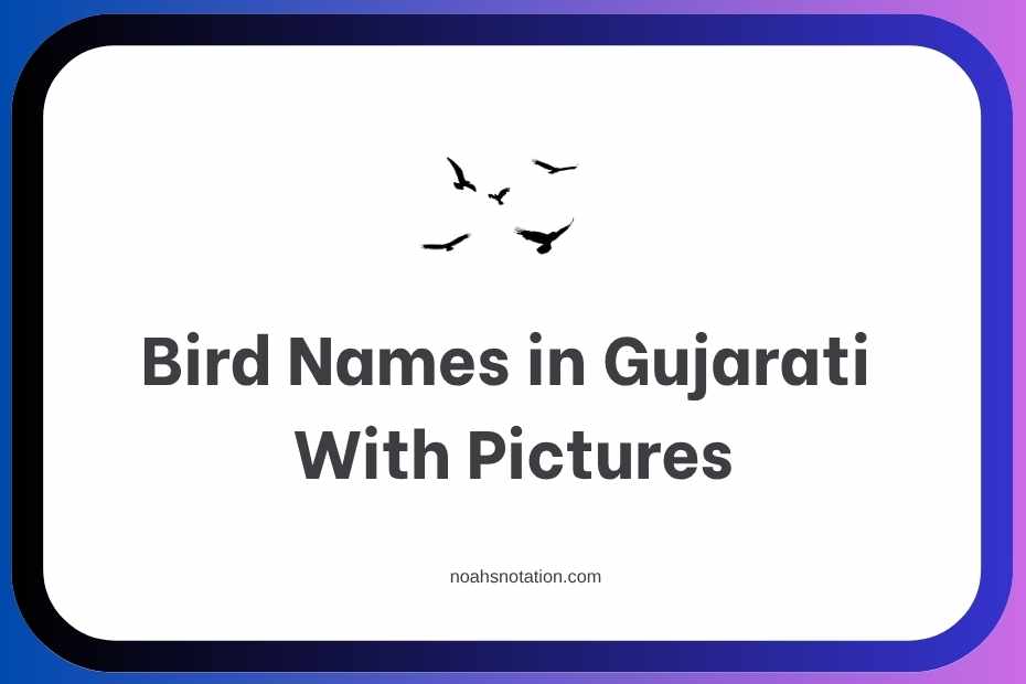 Bird Names in Gujarati