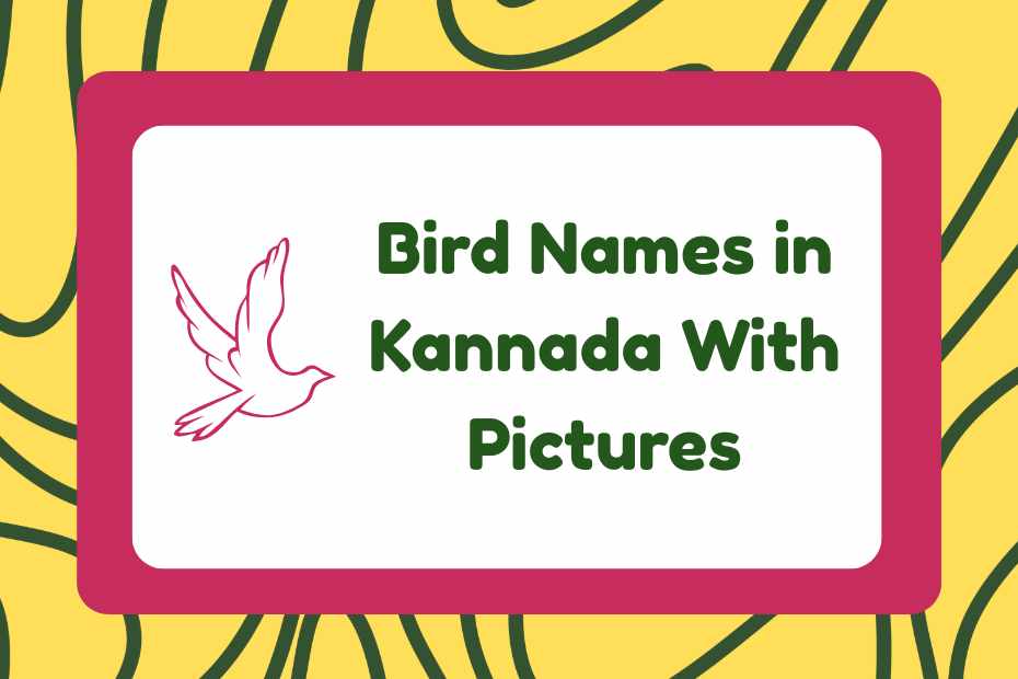 Bird Names in Kannada