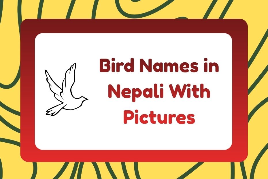 Bird Names in Nepali