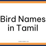 Bird Names in Tamil