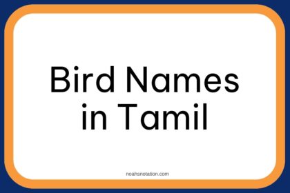 Bird Names in Tamil