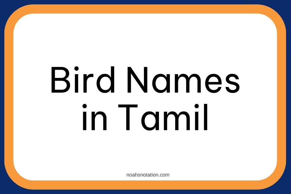 Bird Names in Tamil