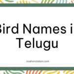 Bird Names in Telugu