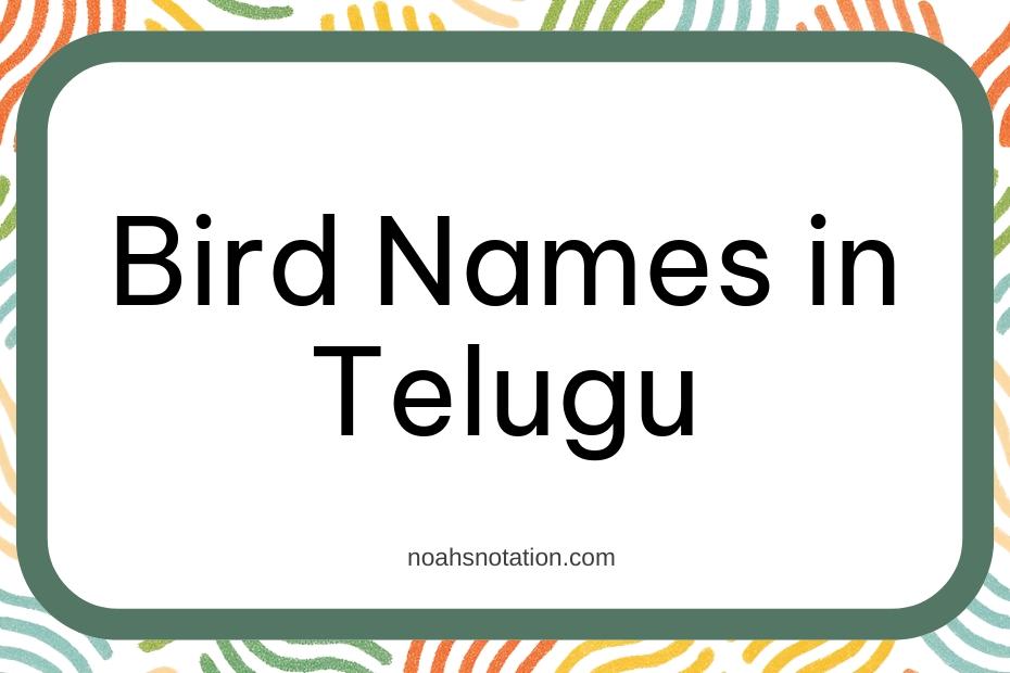 Bird Names in Telugu
