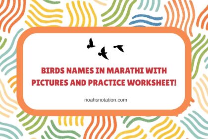 Birds Names in Marathi