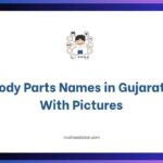 Body Parts Names in Gujarati With Pictures
