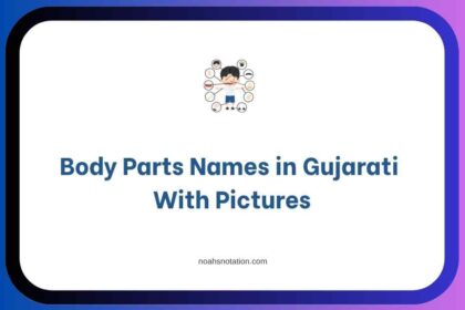 Body Parts Names in Gujarati With Pictures