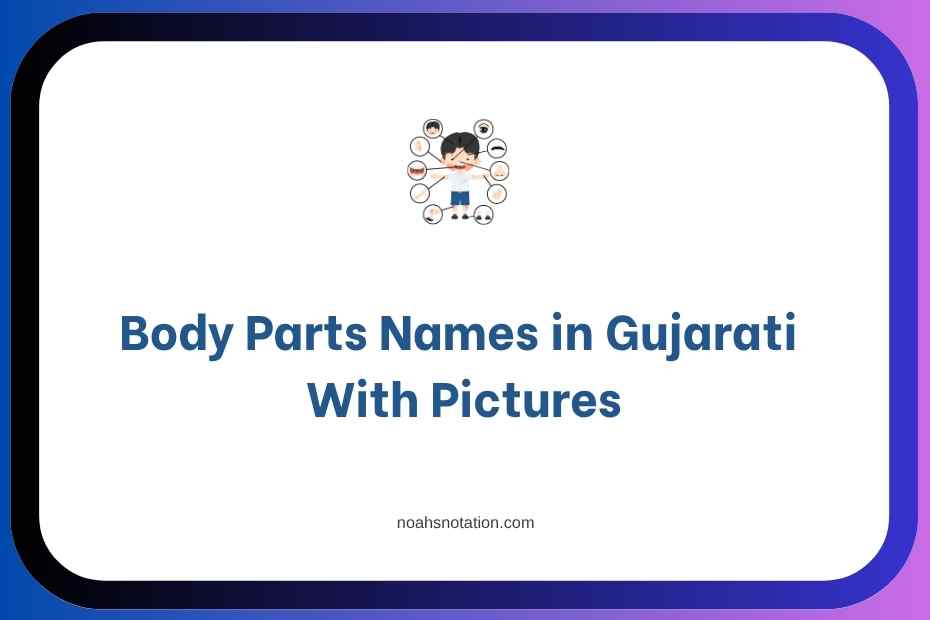 Body Parts Names in Gujarati With Pictures