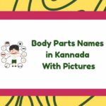 Body Parts Names In Kannada
