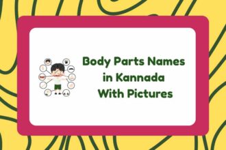 Body Parts Names In Kannada