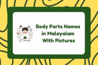 Body Parts Names in Kannada