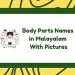 Body Parts Names in Malayalam
