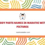 Body Parts Names in Marathi With Pictures
