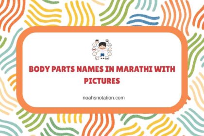 Body Parts Names in Marathi With Pictures