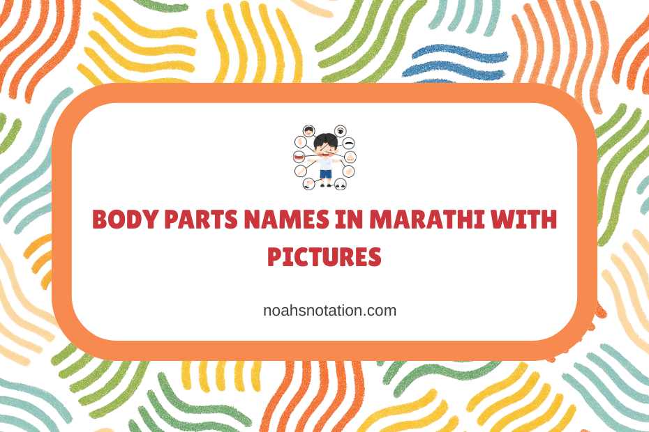 Body Parts Names in Marathi With Pictures