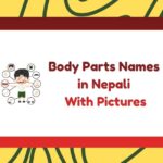 Body Parts Names in Nepali