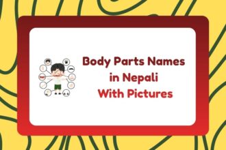 Body Parts Names in Nepali