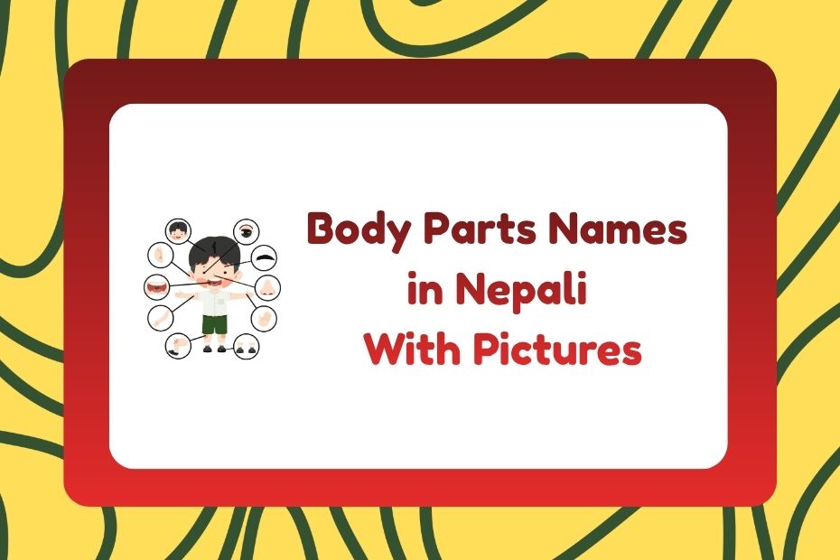 Body Parts Names in Nepali