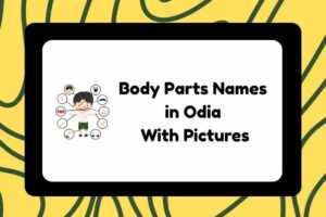 Body Parts Names in Odia
