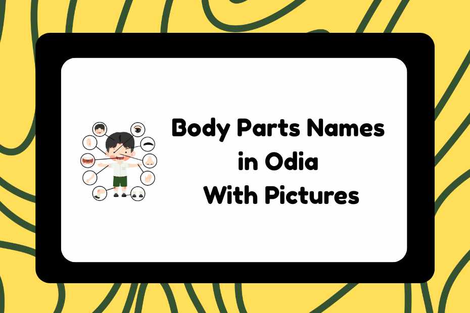 Body Parts Names in Odia
