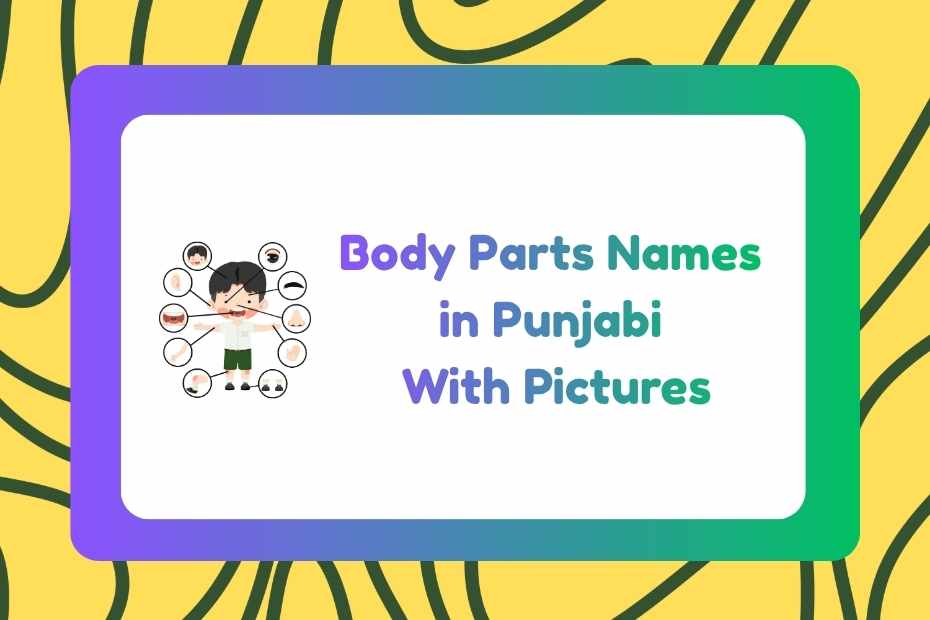 Body Parts Names in Punjabi