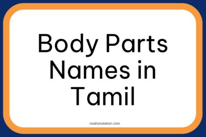 Body Parts Names in Tamil