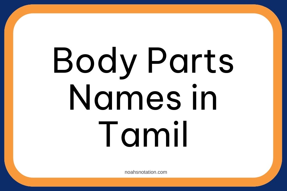 Body Parts Names in Tamil
