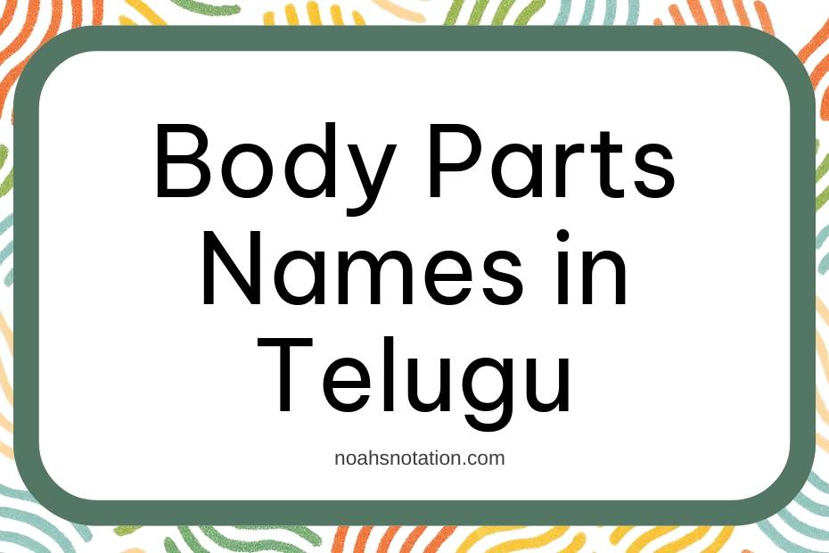 Body Parts Names in Telugu