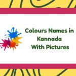 Colours Names in Kannada
