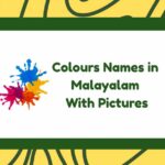 Colours Names in Malayalam