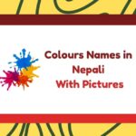 Colours Names in Nepali