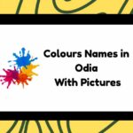 Colours Names in Odia