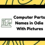 Computer Parts Names in Odia