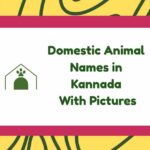 Domestic Animal Names in Kannada