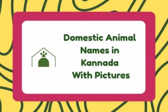 Domestic Animal Names in Kannada
