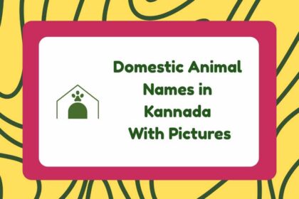 Domestic Animal Names in Kannada