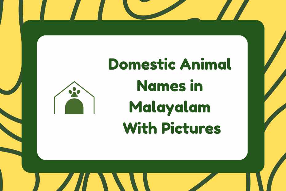 Domestic Animal Names in Malayalam